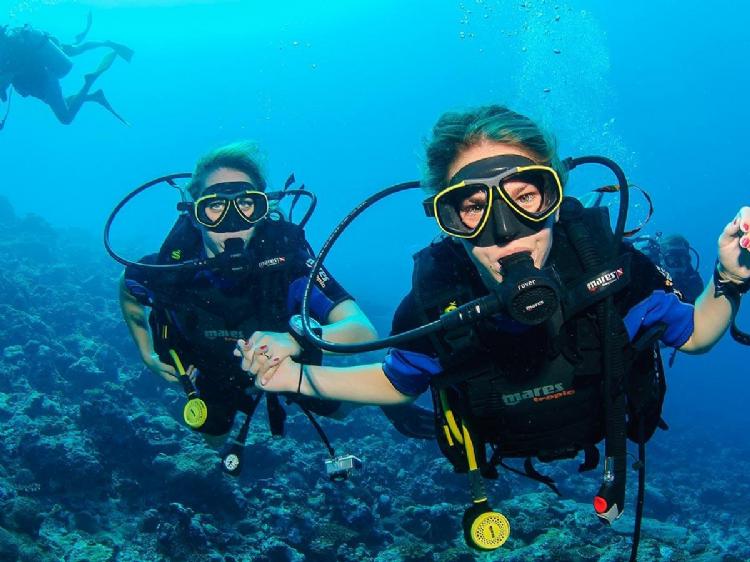 Bodrum Dalış Turları: Ege’nin Büyüleyici Sualtı Dünyasını Keşfedin