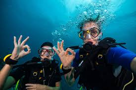 Didim Scuba Diving: Altınkum’un Gizli Su Altı Dünyasını Keşfedin