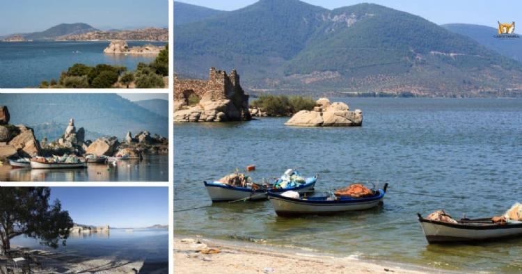 Bafa Gölü Rehberi