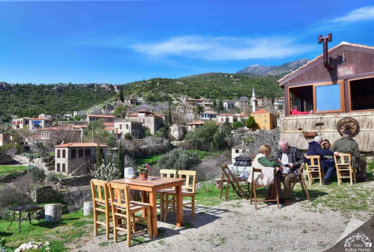 Didim’de Alternatif Tatil Deneyimleri: Doğa Turları ve Safari Maceraları
