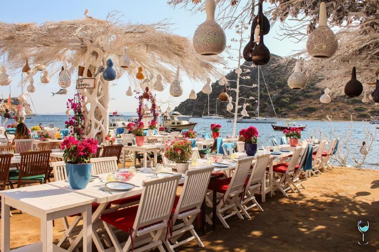 Bodrum Merkez – Didim VIP Transfer