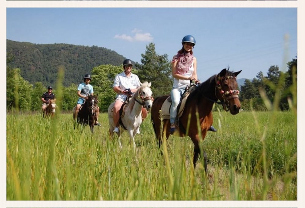 Didim At Turu – Doğada At Safari ve Sahil Binicilik Deneyimi