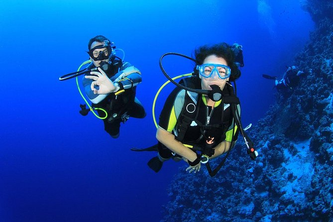 Bodrum Scuba Diving Tour from Bodrum: Ege’nin Mavi Sularına Dalış Deneyimi