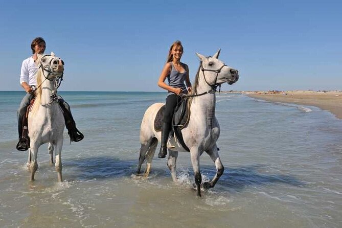 Bodrum At Safari Turu