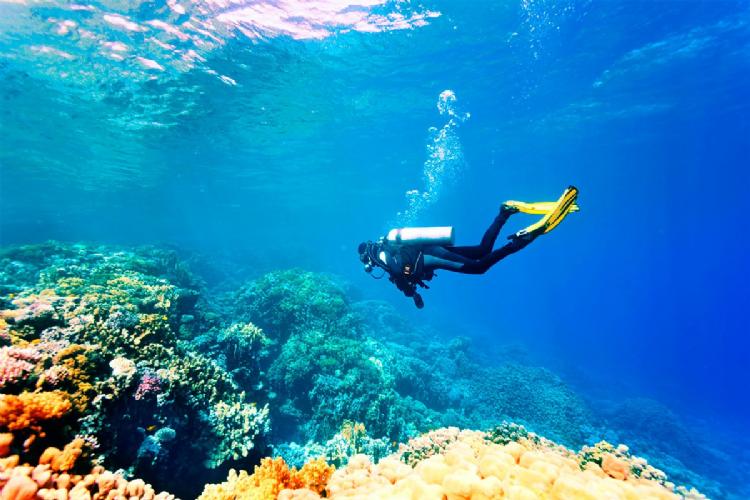 Antalya Tüplü Dalış Turu